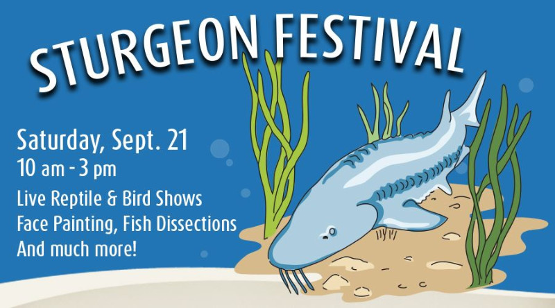 sturgeon-festival