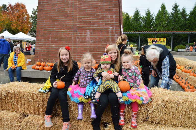 71120394_10157579191749894_5256547878721028096_n