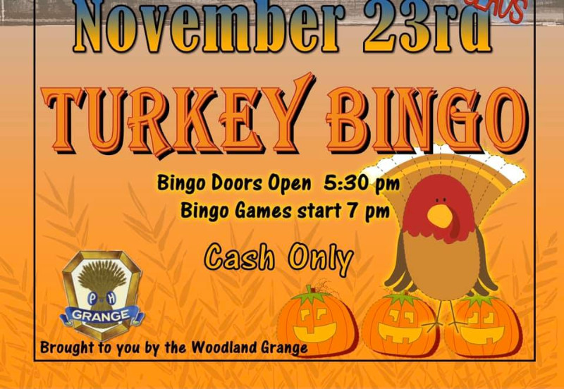 turkey-bingo