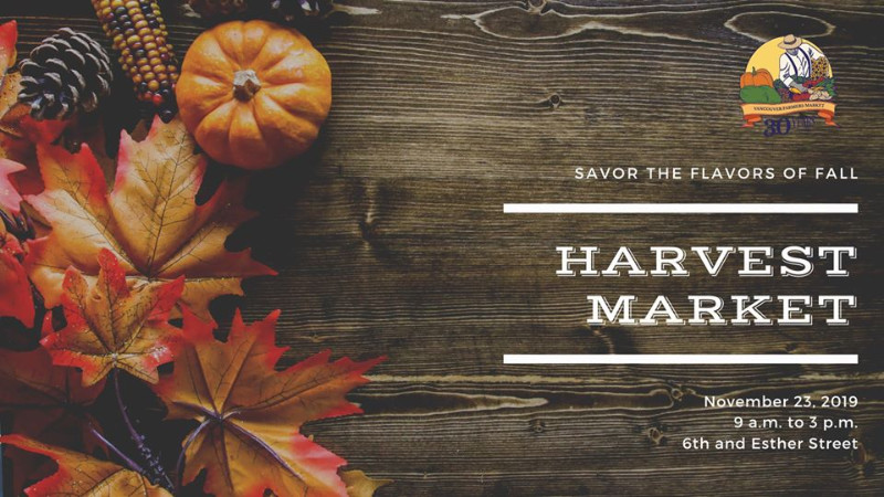 75614221_3413693598671446_6694043990691414016_o