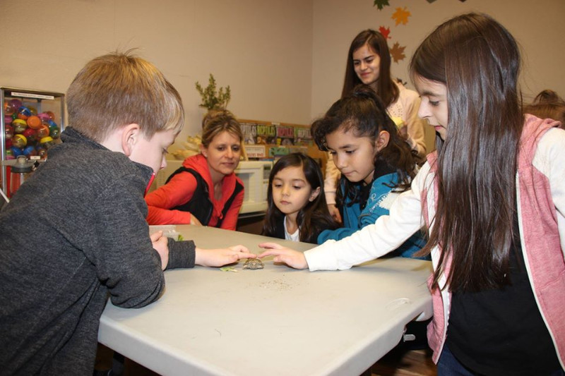 elementary-homeschool