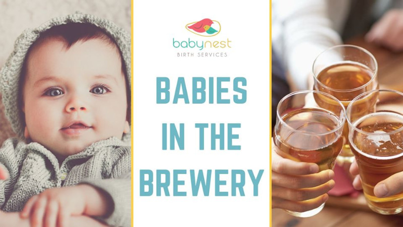 babies-in-the-brewery