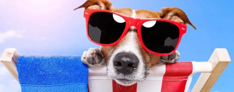 103779966 3010278822342378 3808170281855971323 o 768x302