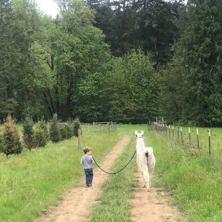 104355663 4008156839258868 5853679008018393128 o 1 768x768