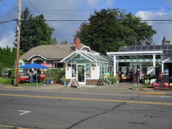 105740275 105868014519375 8033196250025222023 o 2 600x450