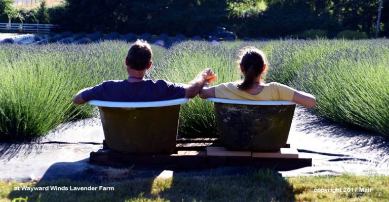 92000304 2913042498771608 6653041698853093376 n 2 768x398