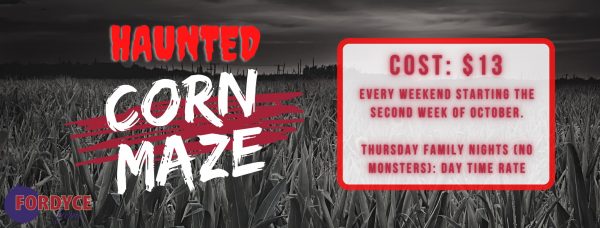 120048466 3904774382870964 5803675024410309771 o 1 600x228