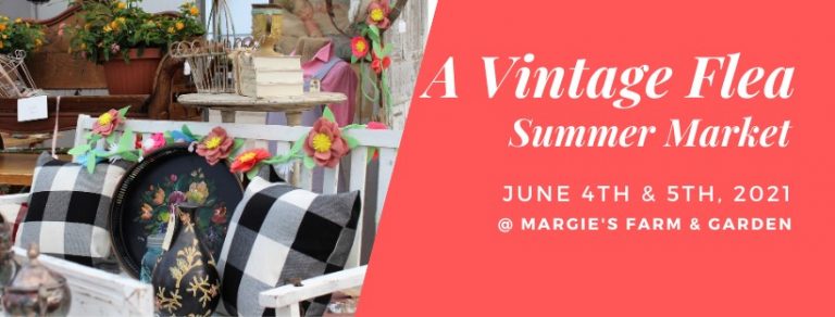 164676863 235499721610281 8142913643911046292 n 1 768x292