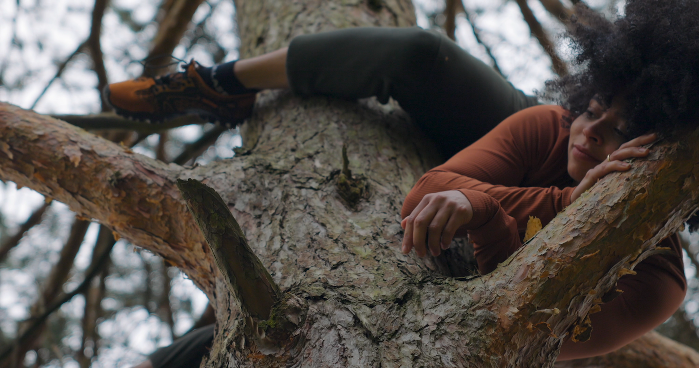 Snapshot 2021 09 22 15.00.51