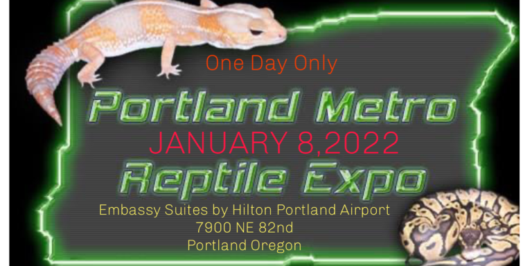 4A454294 77F7 457D 9DD9 1A9668F7F67A 768x384