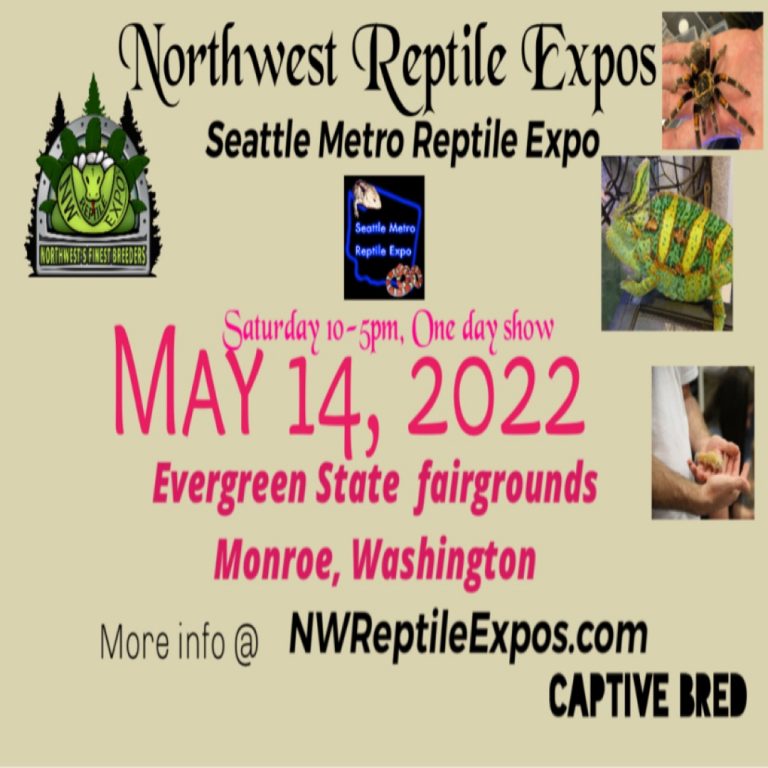 FD330A11 D744 4C27 8F23 E7AEF9FAB0C1 768x768