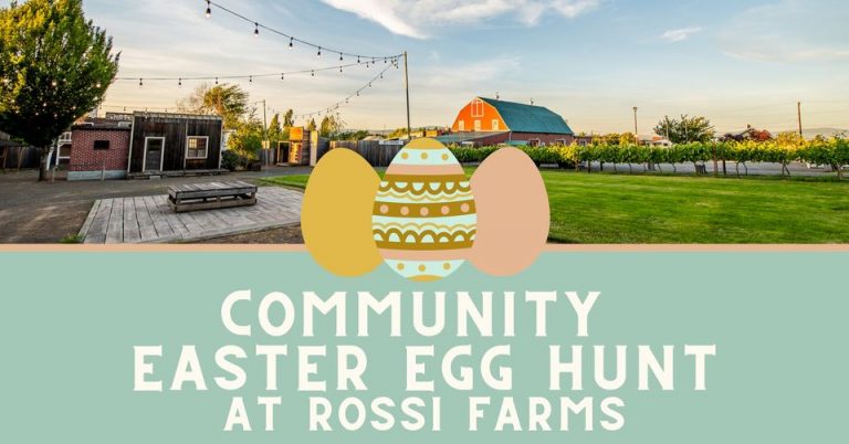 276026637 172614765119593 2652038265560098829 n 1 768x402