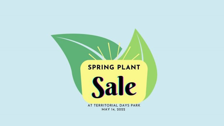 278251479 126840066597585 9191885644546877505 n 768x433