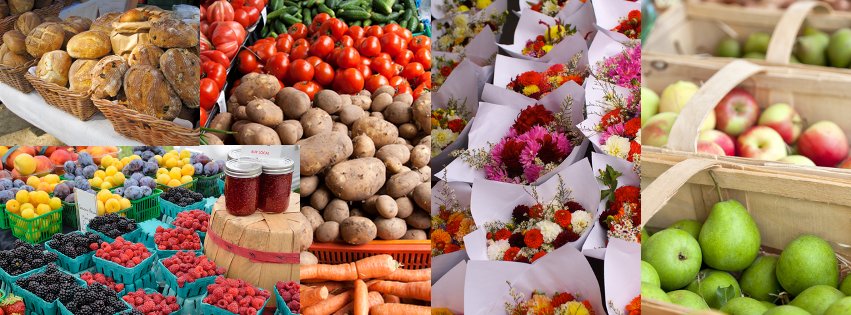 64928 370071963090354 955087332 n