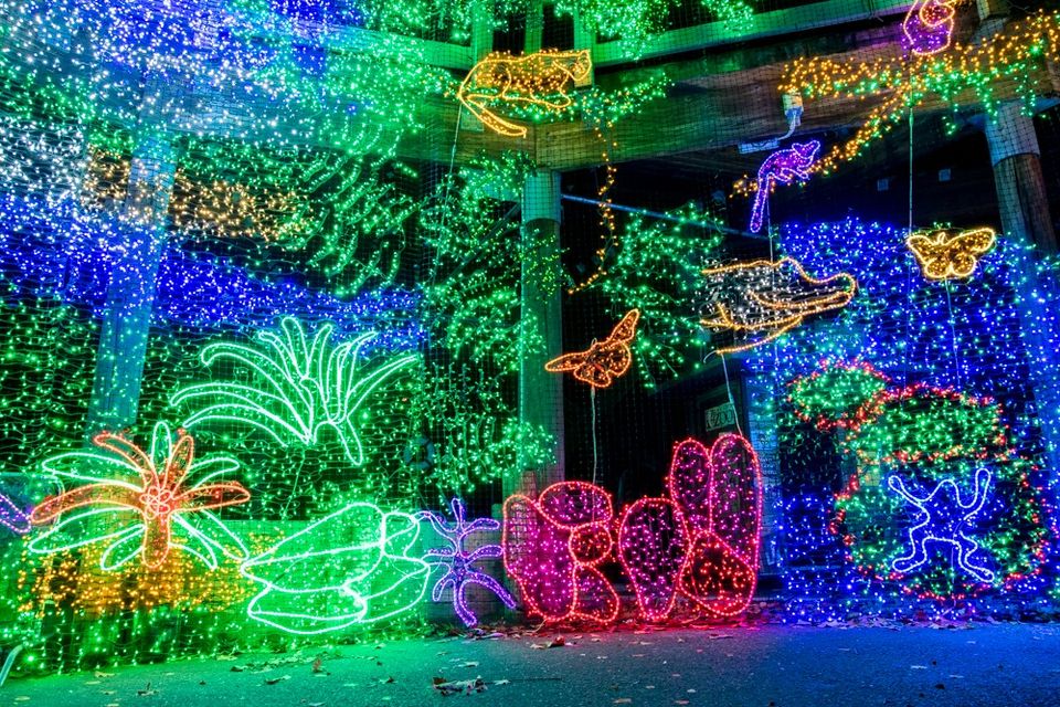 zoolights at the oregon zoo