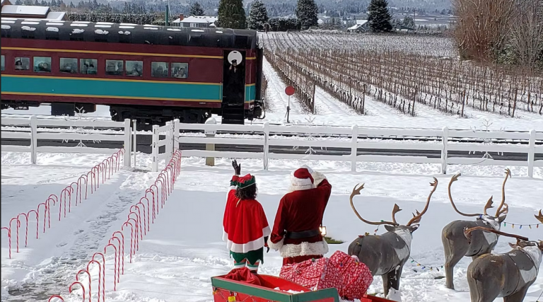 Firefox Screenshot 2022 12 04T17 46 10.592Z 1 768x427