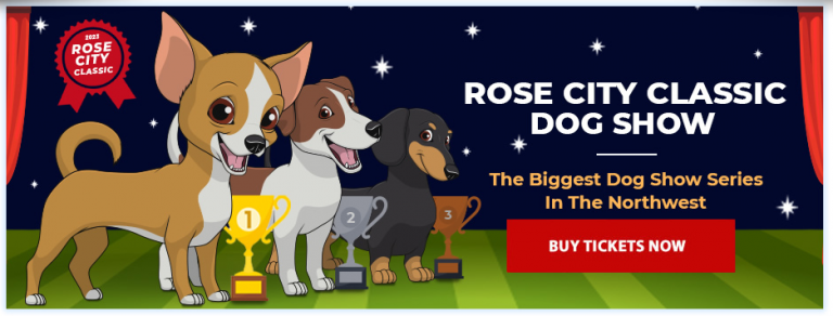 Firefox Screenshot 2023 01 13T22 46 30.467Z 768x292