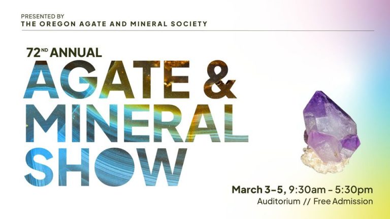 329596423 663036582287962 707468062812009068 n 768x432