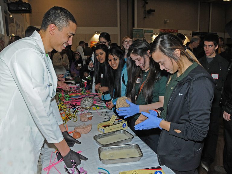 Brain Fair Image 2023 1024x769 1 768x577