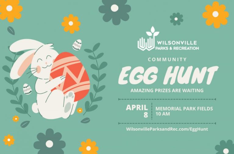 335908243 873459417071552 6958018859309939243 n 768x507