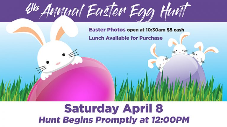 338322020 540241978230879 2057657321083127283 n 768x432