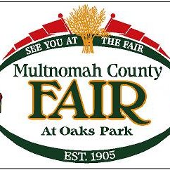 277298441 114607217847812 2782351186374700354 n