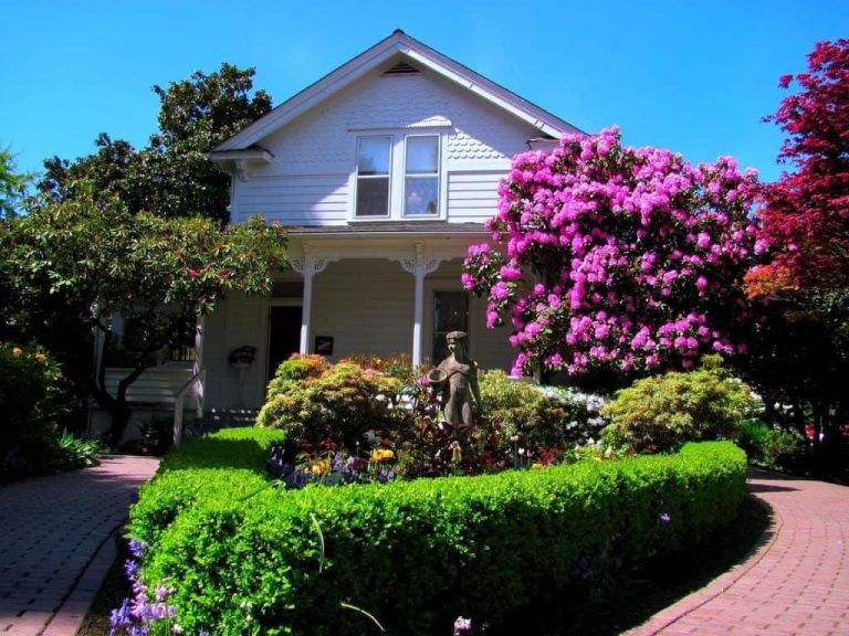 993BE8FC EF2F 450F 9003 85E01C1F79D2 768x576