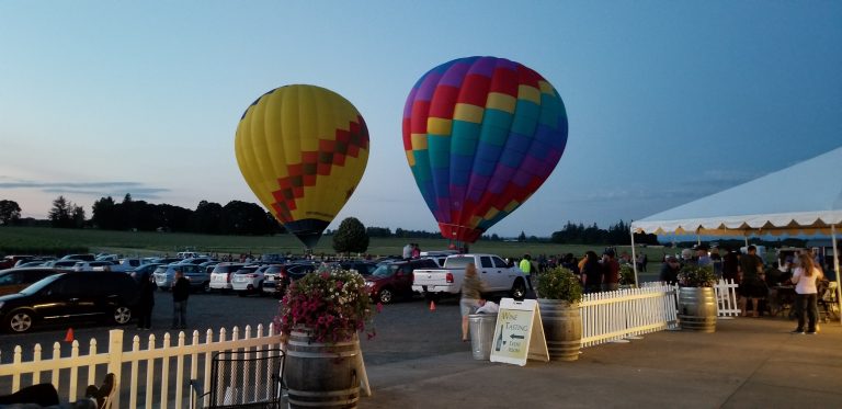 352718388 276668971482338 4331068602071118613 n 1 768x373