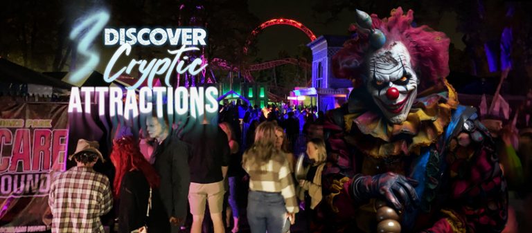 370240398 835733418361412 5345732962972405557 n 768x337