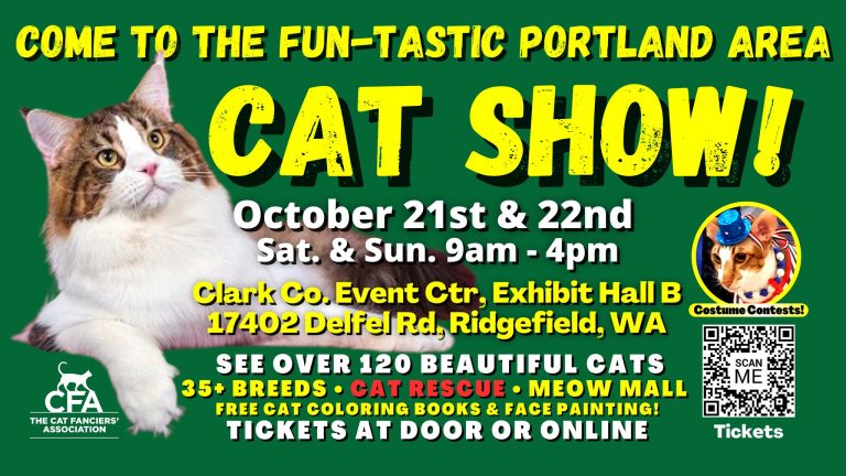 cat show 768x432