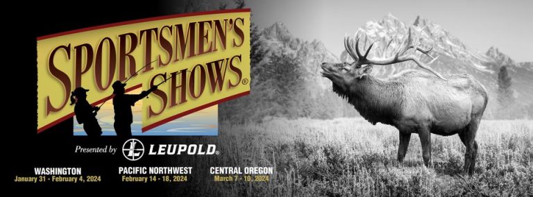 337129515 678985064028287 7619725497065170384 n 768x284