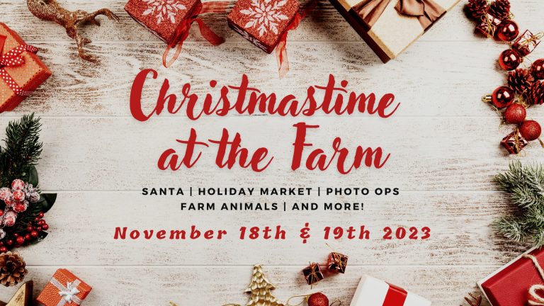 383826236 715630663928214 4872956443337482880 n 768x432