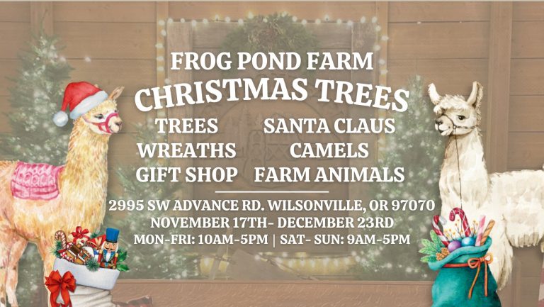 400024053 736348145200850 6222218364534557607 n 768x433