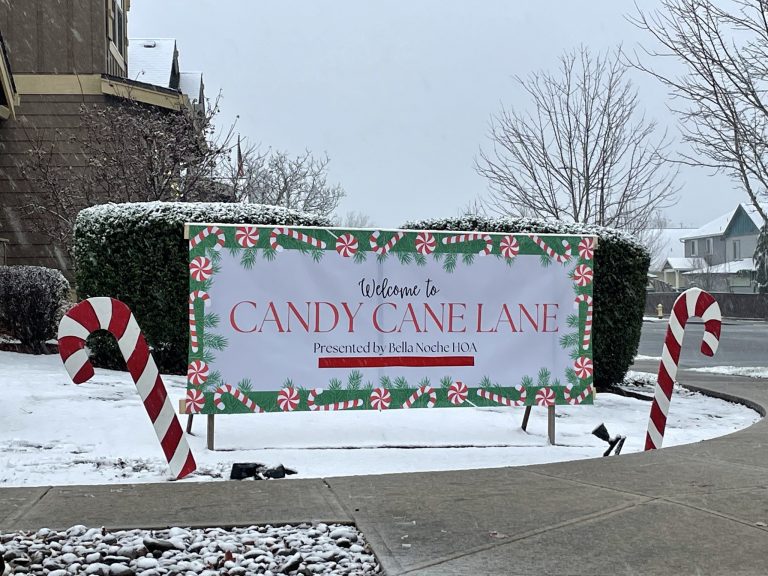 candy cane lane 768x576