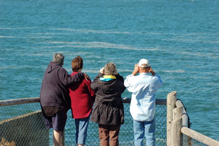 oregon whale watch 768x511