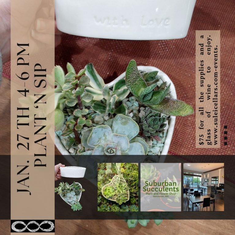 SuburbanSucculents formatted to facebook social media fnl 768x768