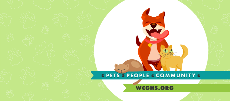 pets people community 1536x674 1 768x337