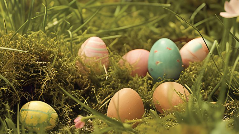 american club egg hunt 768x432