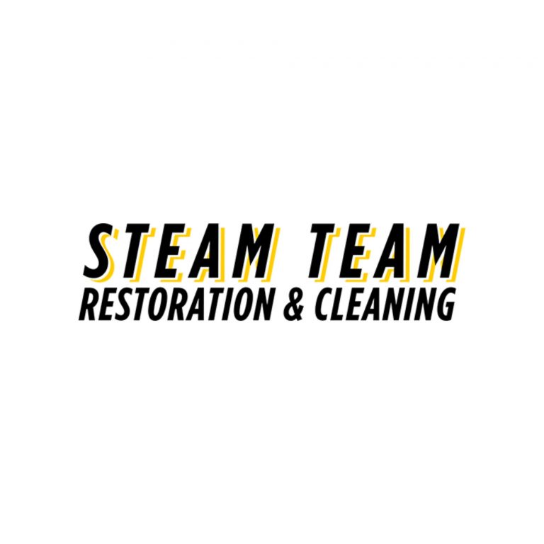 Steam Team 768x768